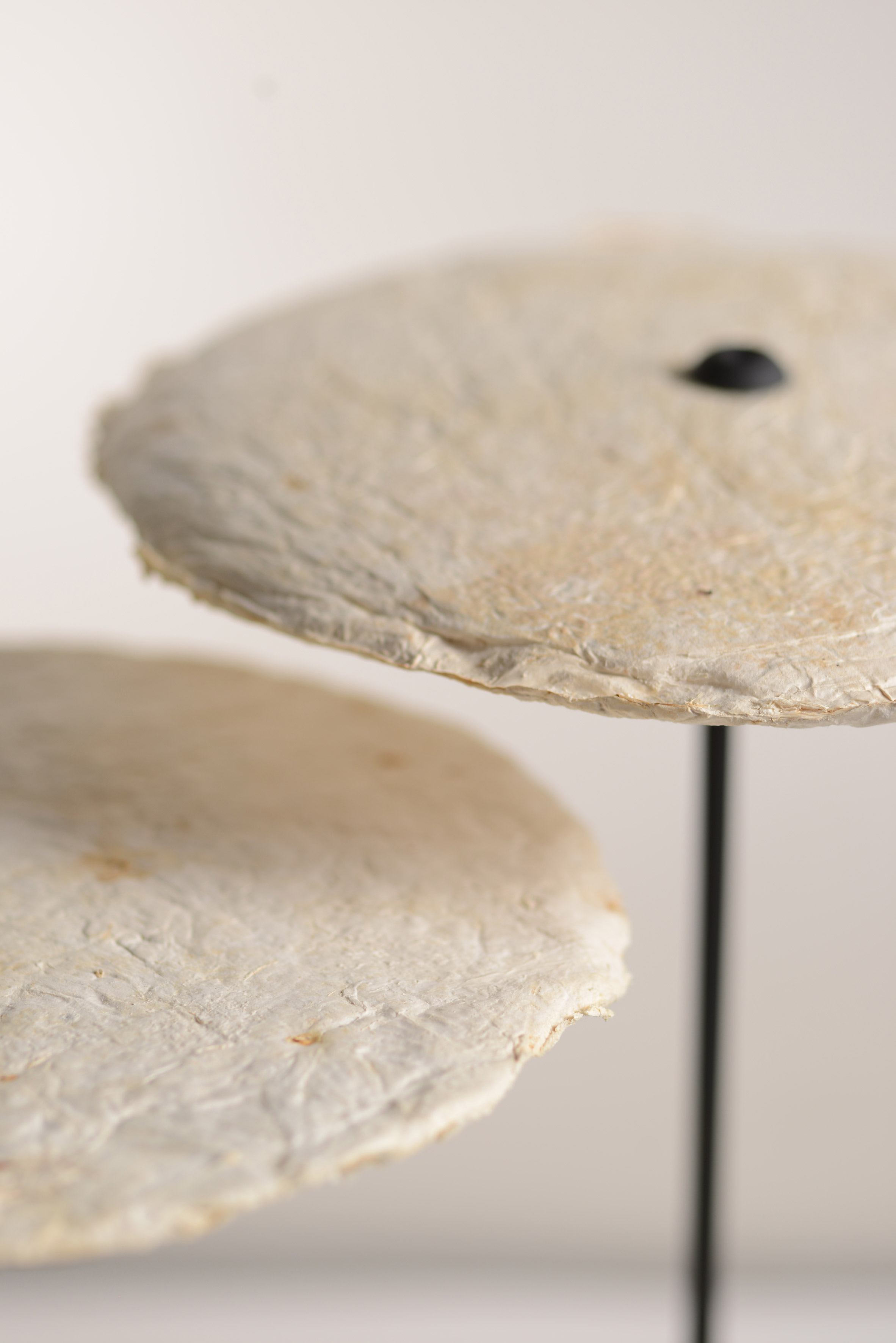 Desk lamp，Mushroom mycelium，white，
