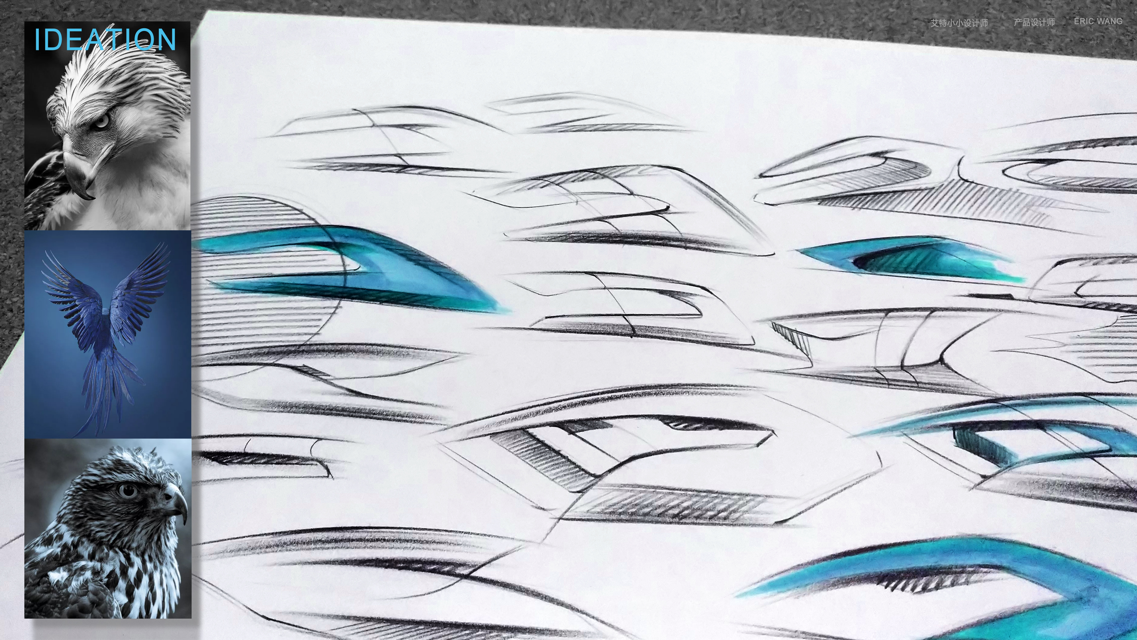 sketch，eaglemouth，shape，pencil，