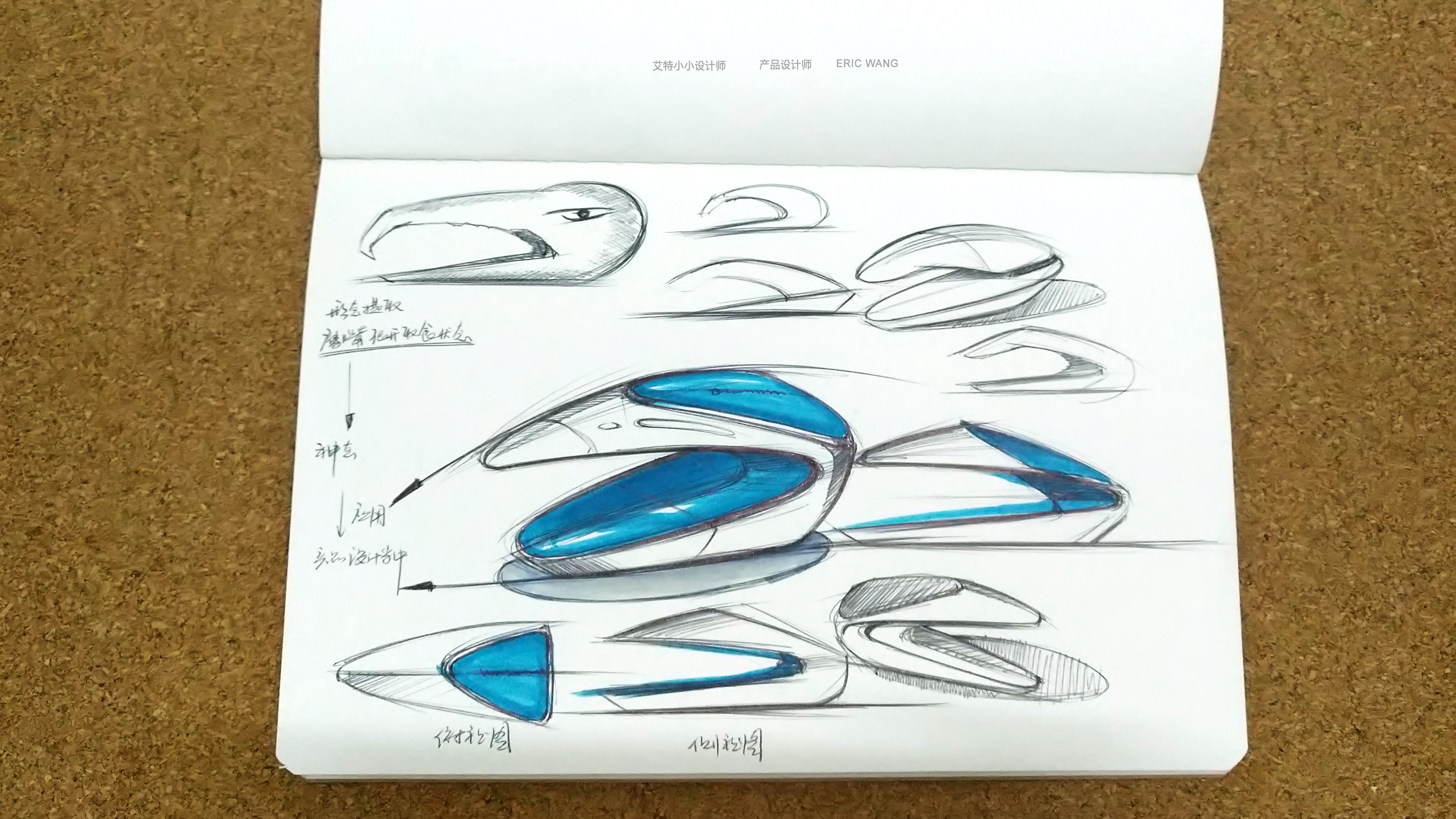 sketch，eaglemouth，shape，pencil，