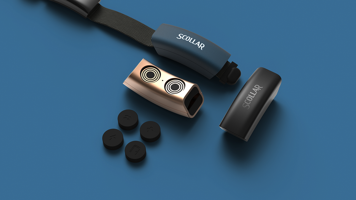 Pet Supplies & Pet，intelligence，Pet collar，Scollar，