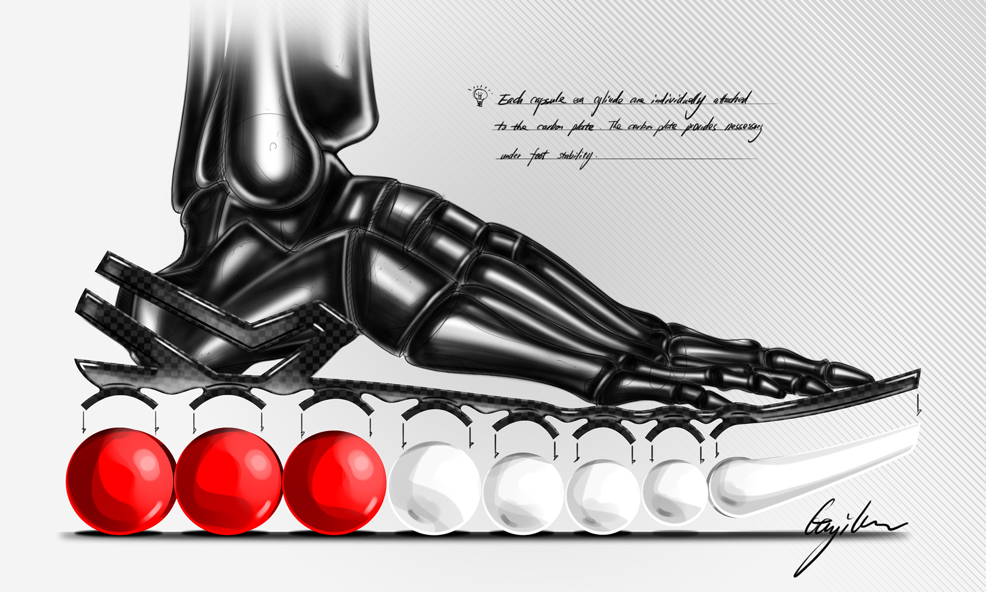 capsule，Running shoes，Row，