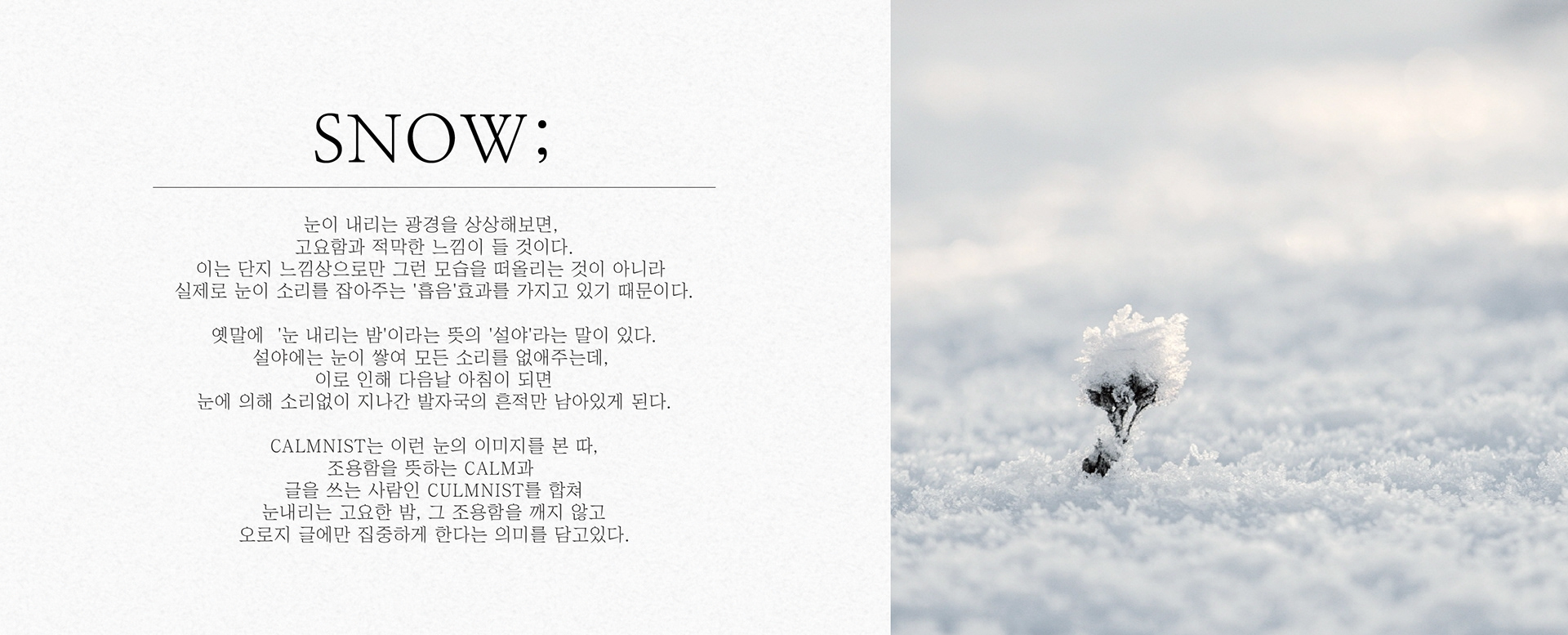 Stationery，white，ball pen，