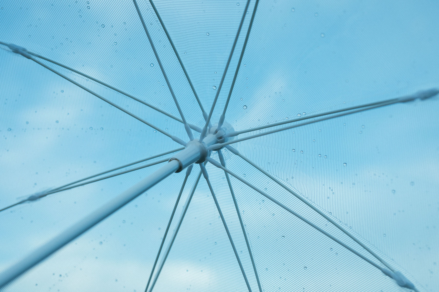 industrial design，product design，Famous female designer，Gentle wind，Feminine beauty，Large surface，