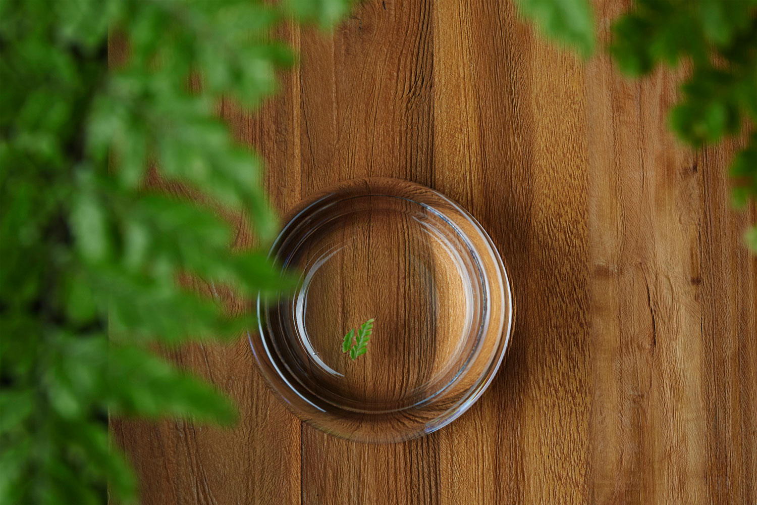 industrial design，product design，Famous female designer，Gentle wind，Feminine beauty，Large surface，