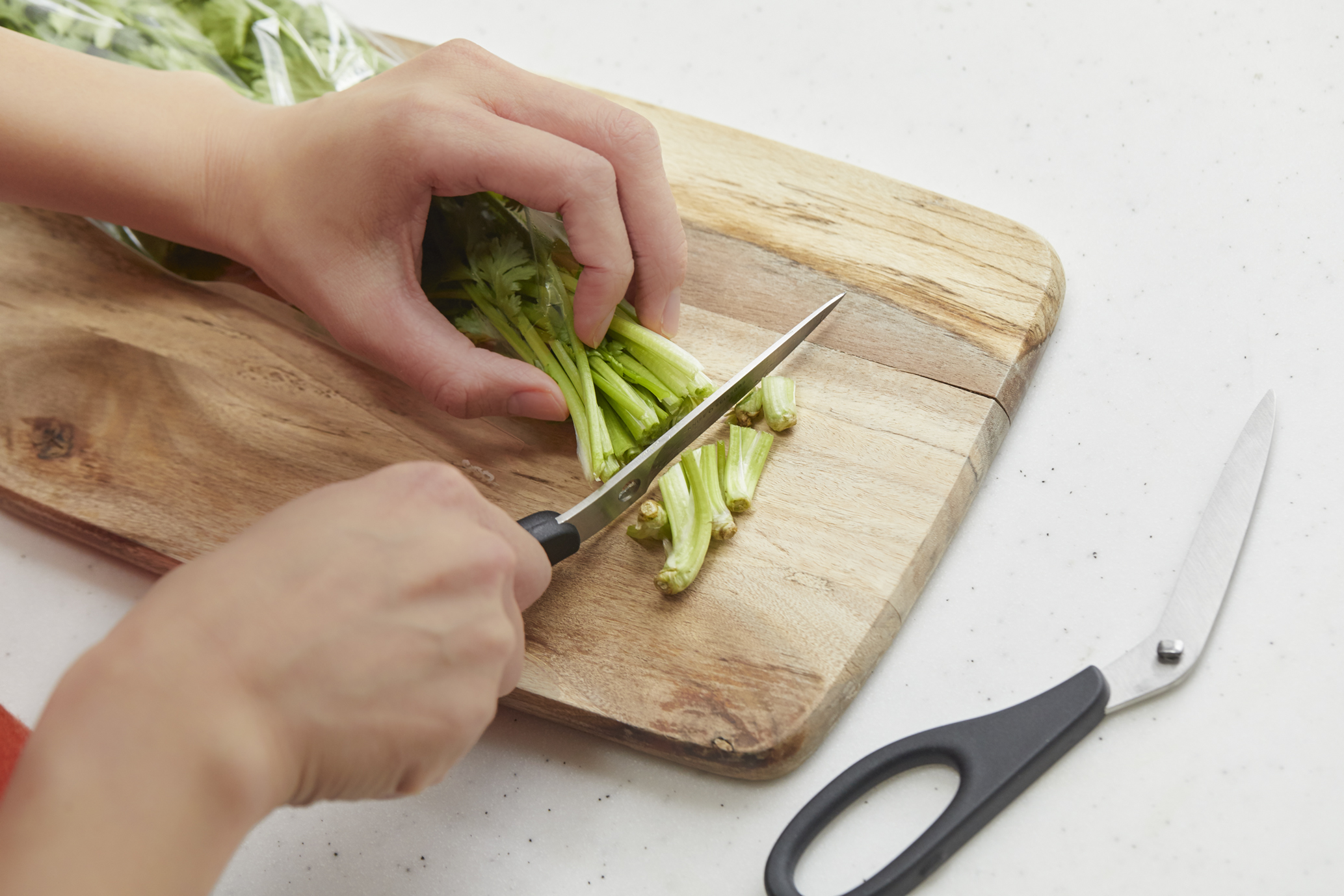 industrial design，product design，Famous female designer，Gentle wind，Feminine beauty，Large surface，