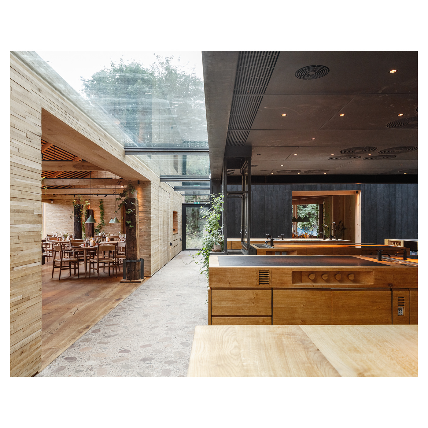 Pastoral cabin，Rural B & B，Architectural design，