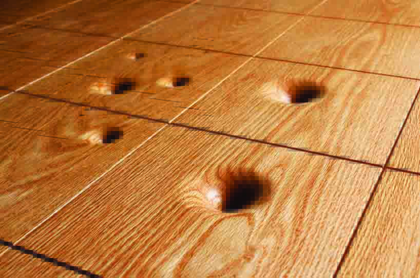 woodiness，Wormhole，furniture，