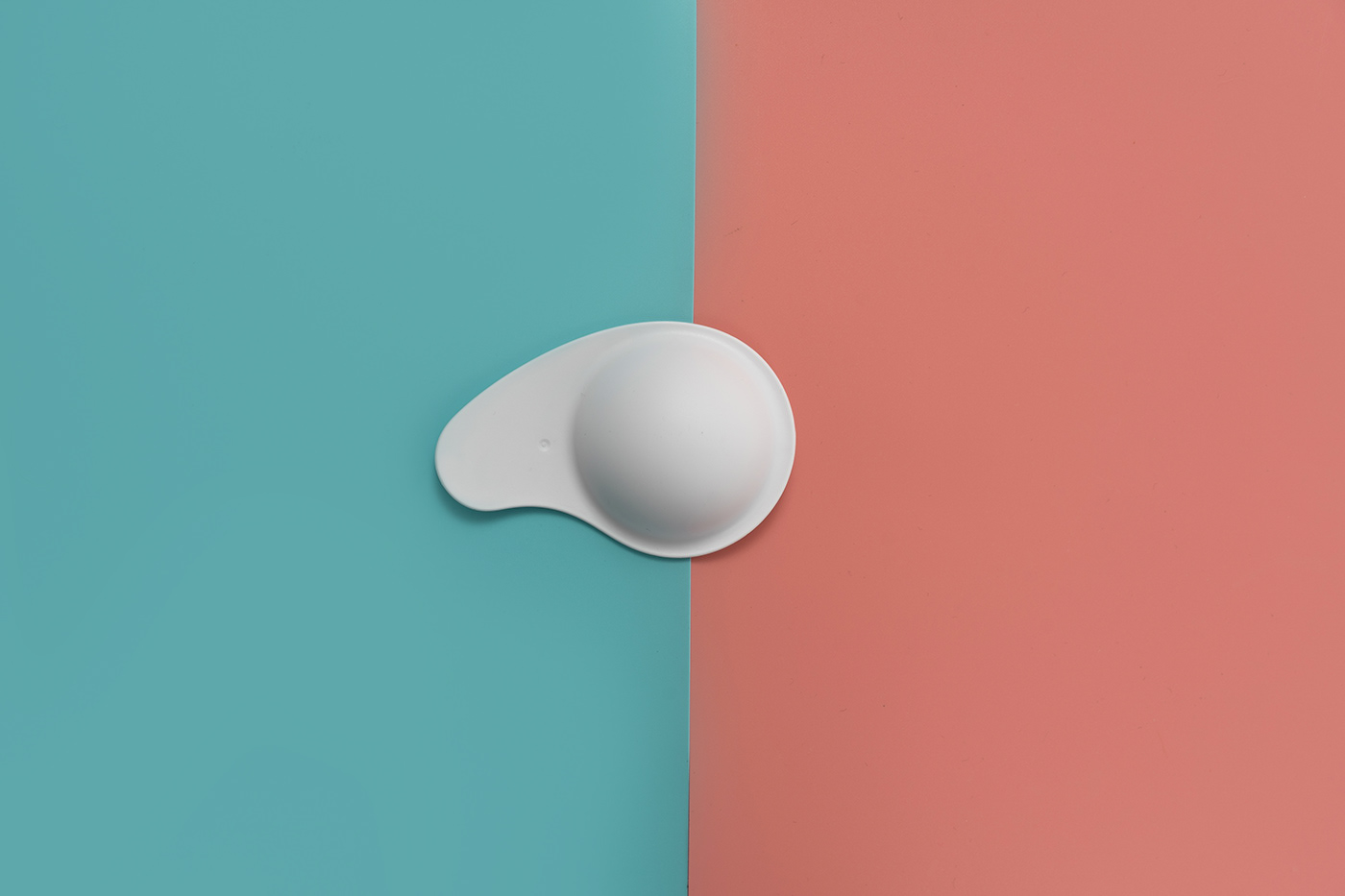 Pets，Pet surroundings，Kitty，stroke a cat，hand basket，Spoon，hide-and-seek，