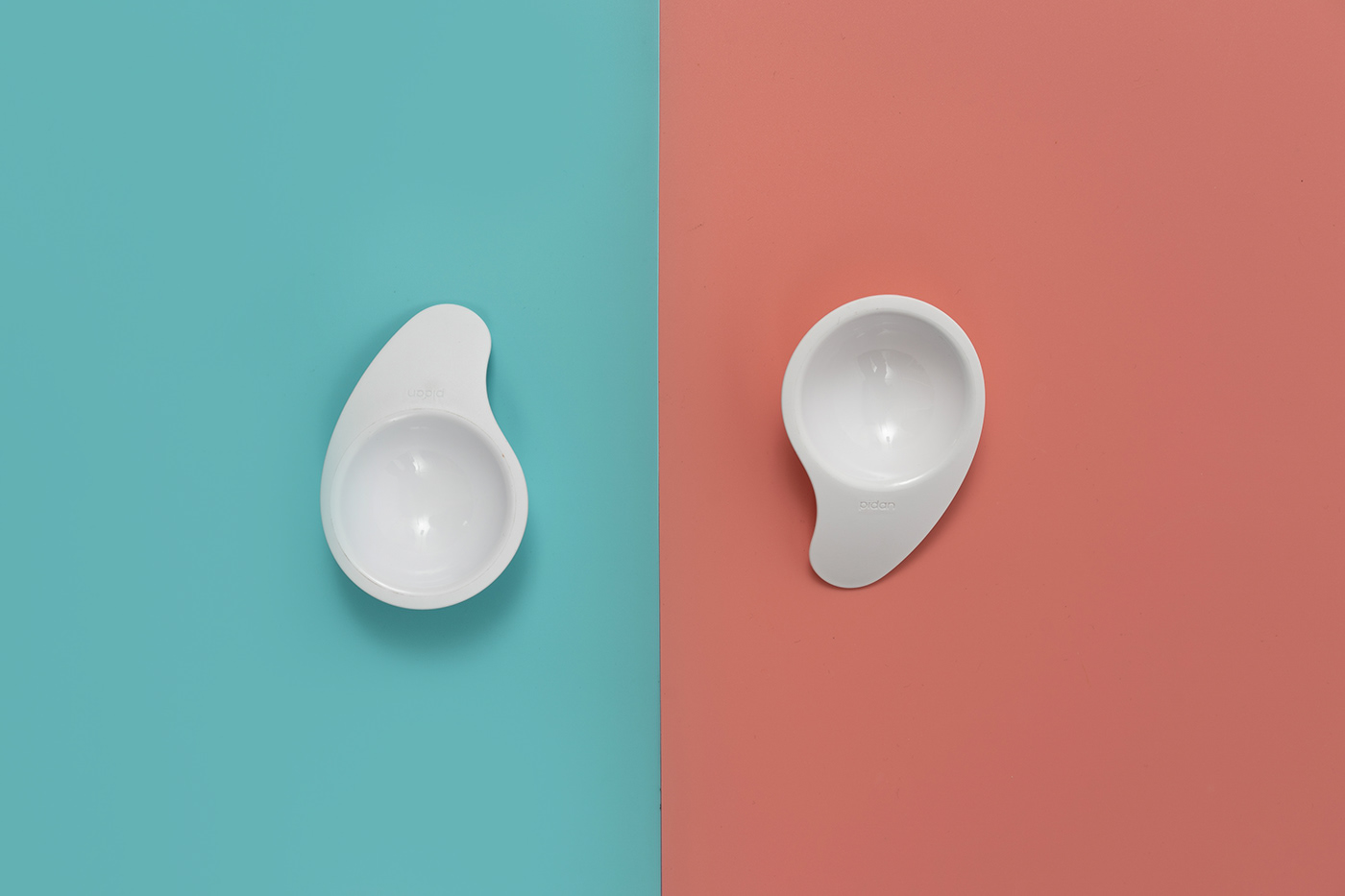 Pets，Pet surroundings，Kitty，stroke a cat，hand basket，Spoon，hide-and-seek，