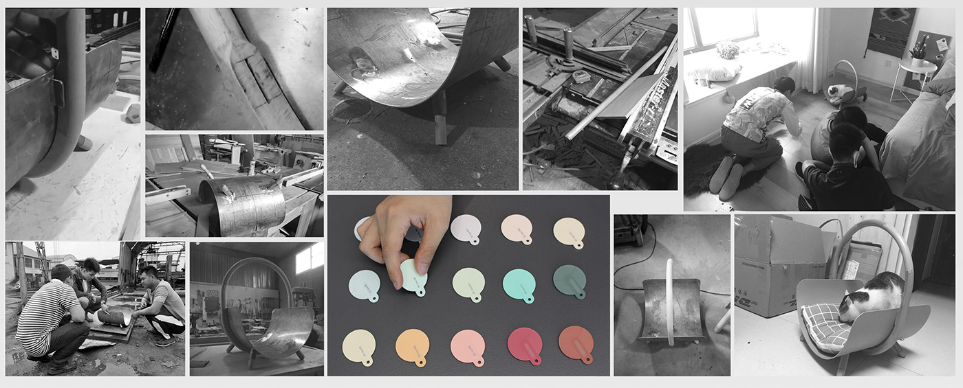 Pets，Pet surroundings，Kitty，stroke a cat，hand basket，Spoon，hide-and-seek，