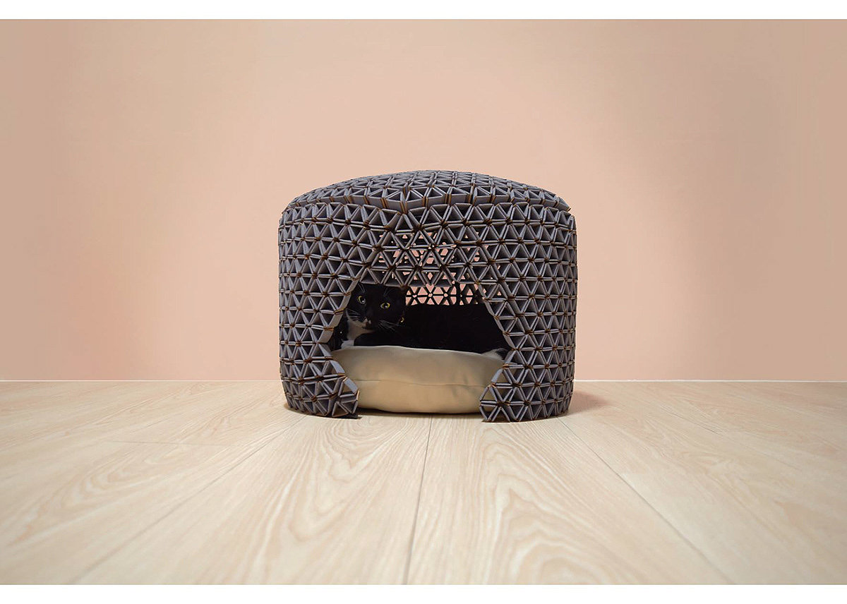 Pets，Pet surroundings，Kitty，stroke a cat，hand basket，Spoon，hide-and-seek，