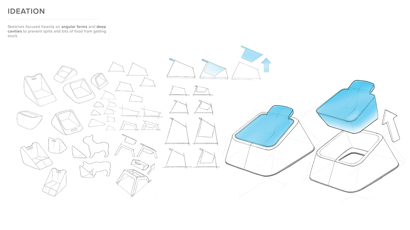 Pets，Pet surroundings，Kitty，stroke a cat，hand basket，Spoon，hide-and-seek，