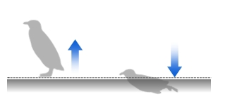 DISO，robot，intelligence，