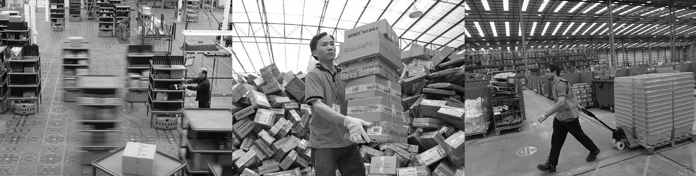 DISO，robot，intelligence，