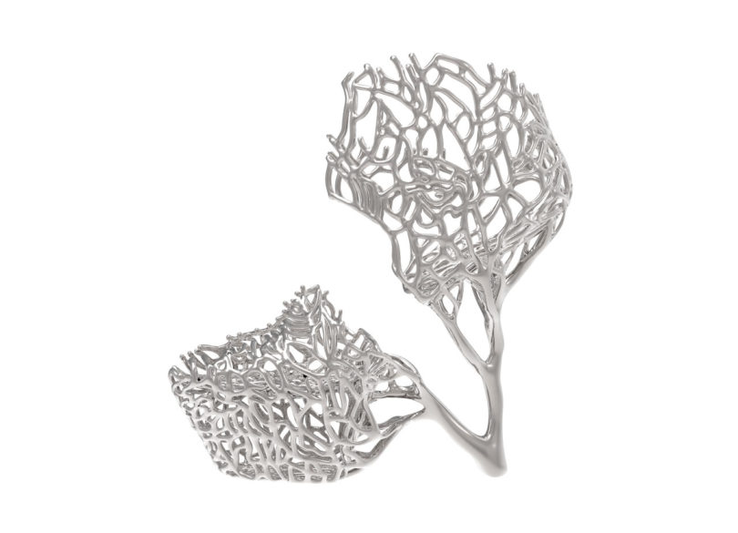 Exobiology，3D printing，Metal，