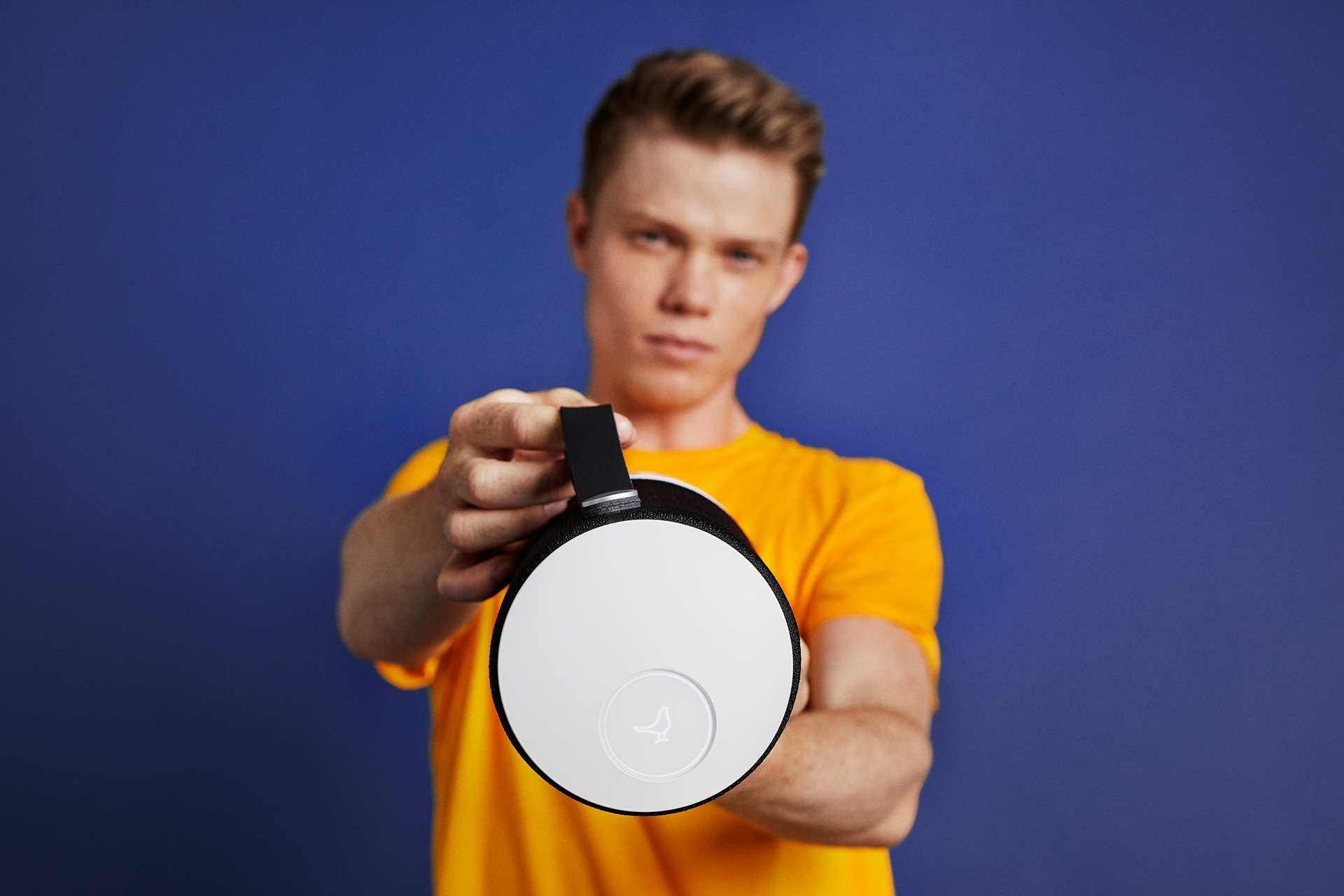 collocation，colour，speaker，ZIPP library，