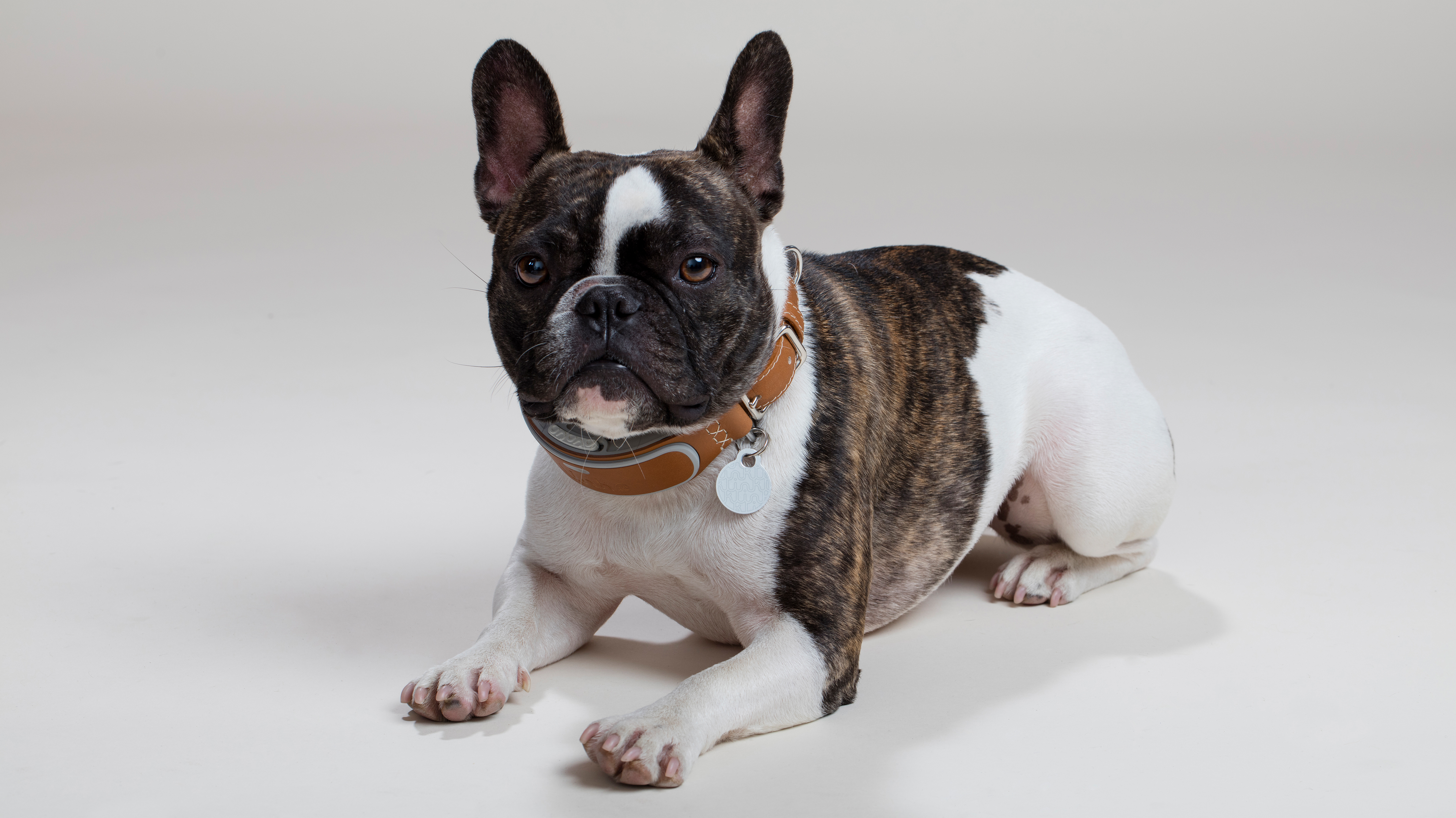 Famous industrial design company，product design，industrial design，