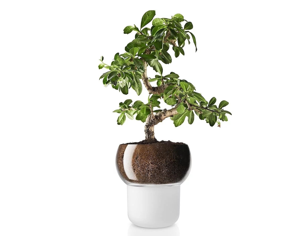 Eva Solo，Flowerpot，Self watering flowerpot，originality，