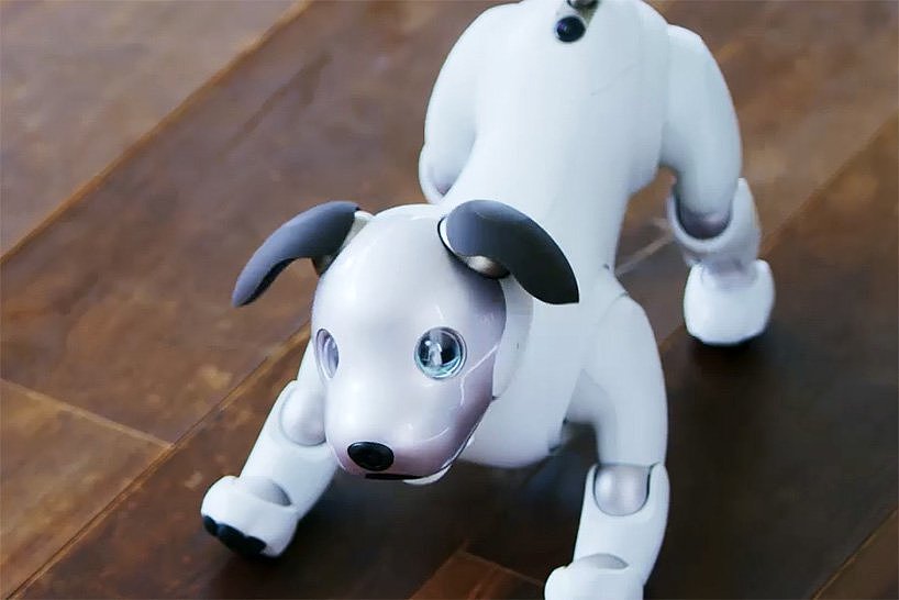 aibo，机器人，宠物，狗狗，索尼，sony，