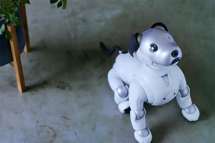 aibo，机器人，宠物，狗狗，索尼，sony，