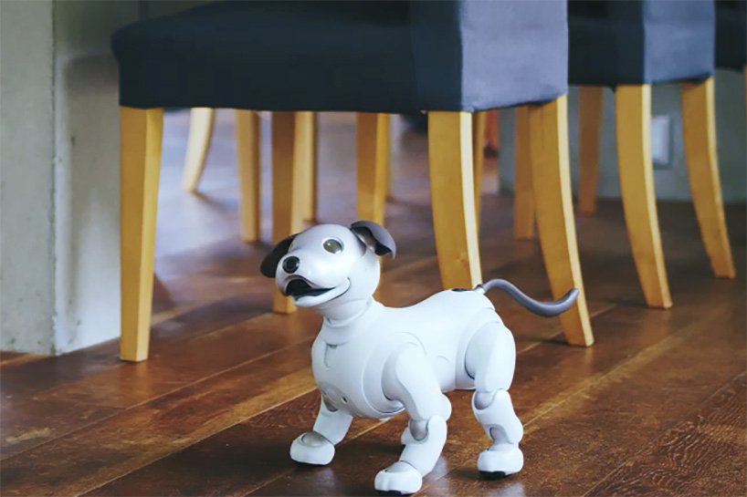 aibo，robot，Pets，Dog，Sony，sony，