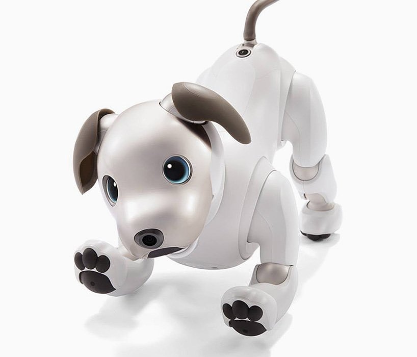 aibo，robot，Pets，Dog，Sony，sony，