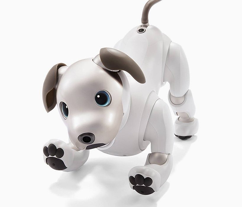 aibo，机器人，宠物，狗狗，索尼，sony，