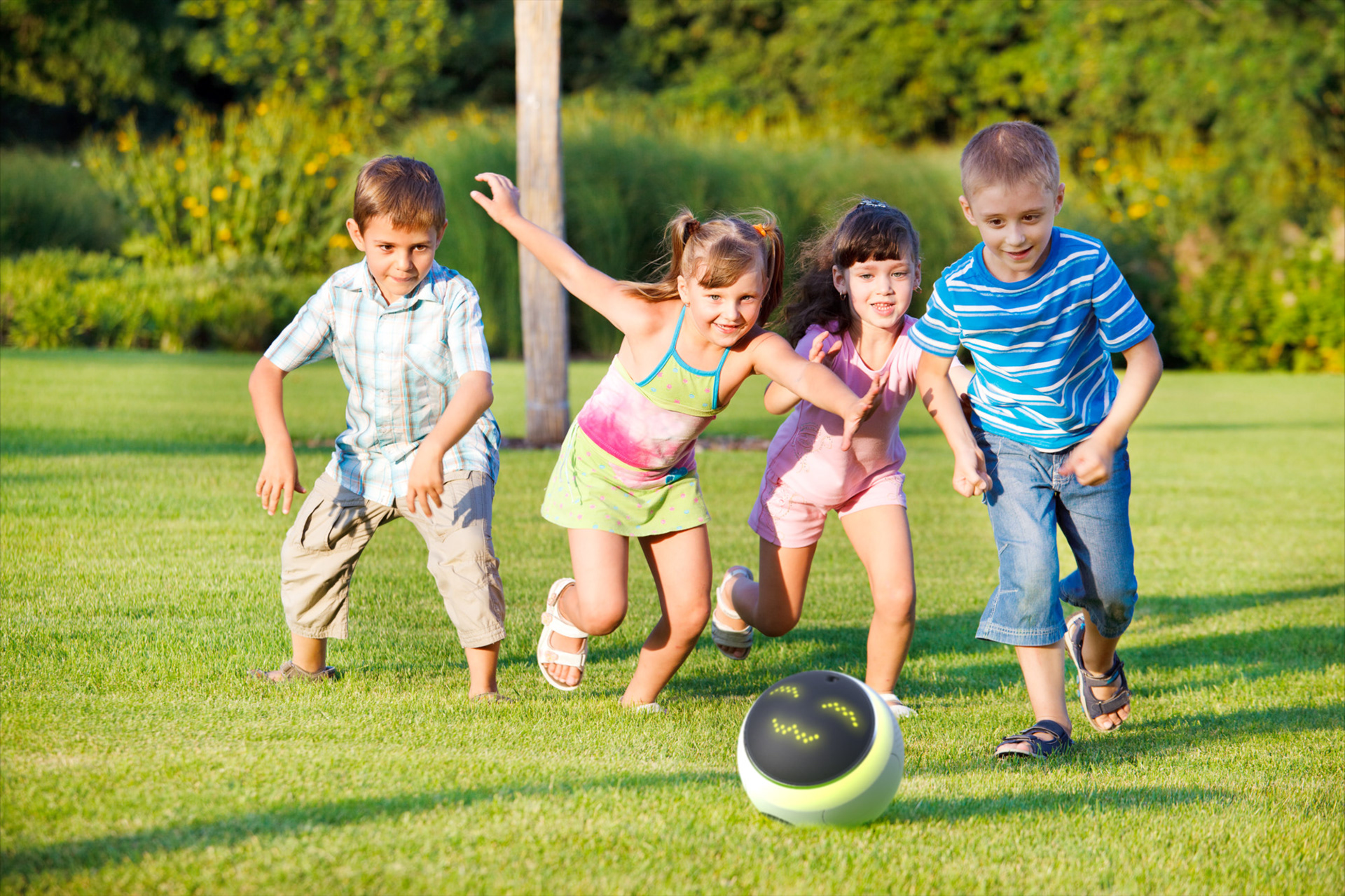 intelligence，robot，children，