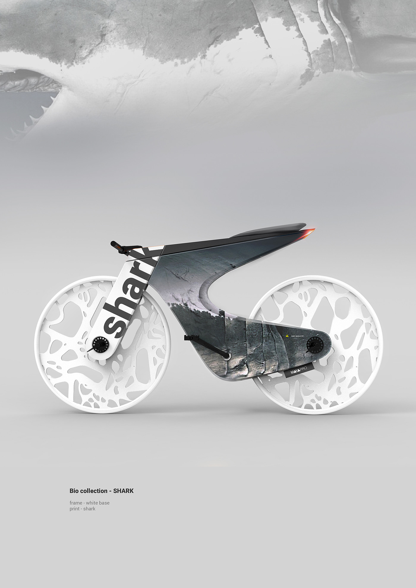 Sprint，Bicycle，vision，