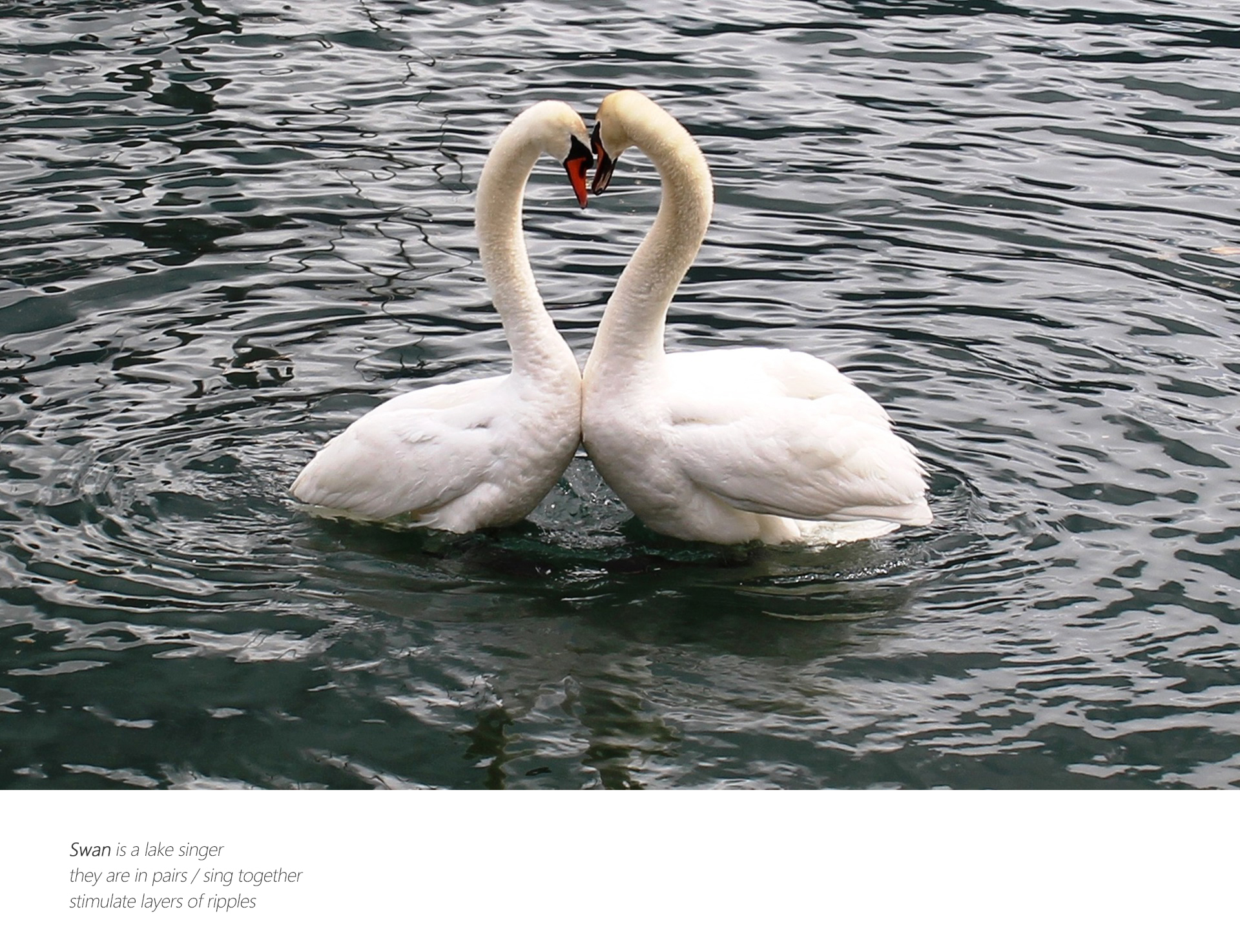 product design，Late PS，keyshot，Render，sound design ，loudspeaker box，A touch，