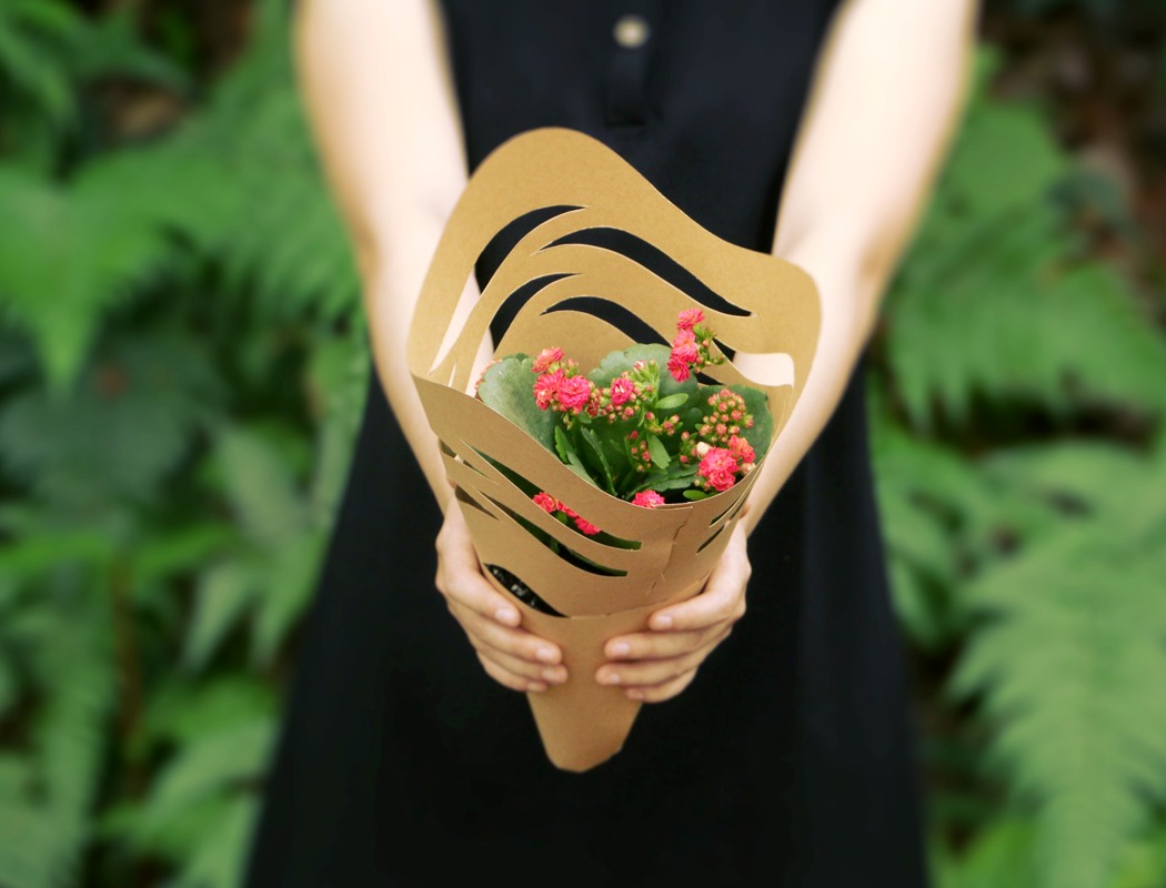 Transplanting，grow flowers，flower，Bouquet，