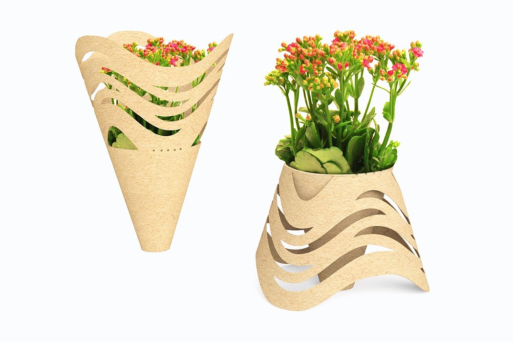 Transplanting，grow flowers，flower，Bouquet，