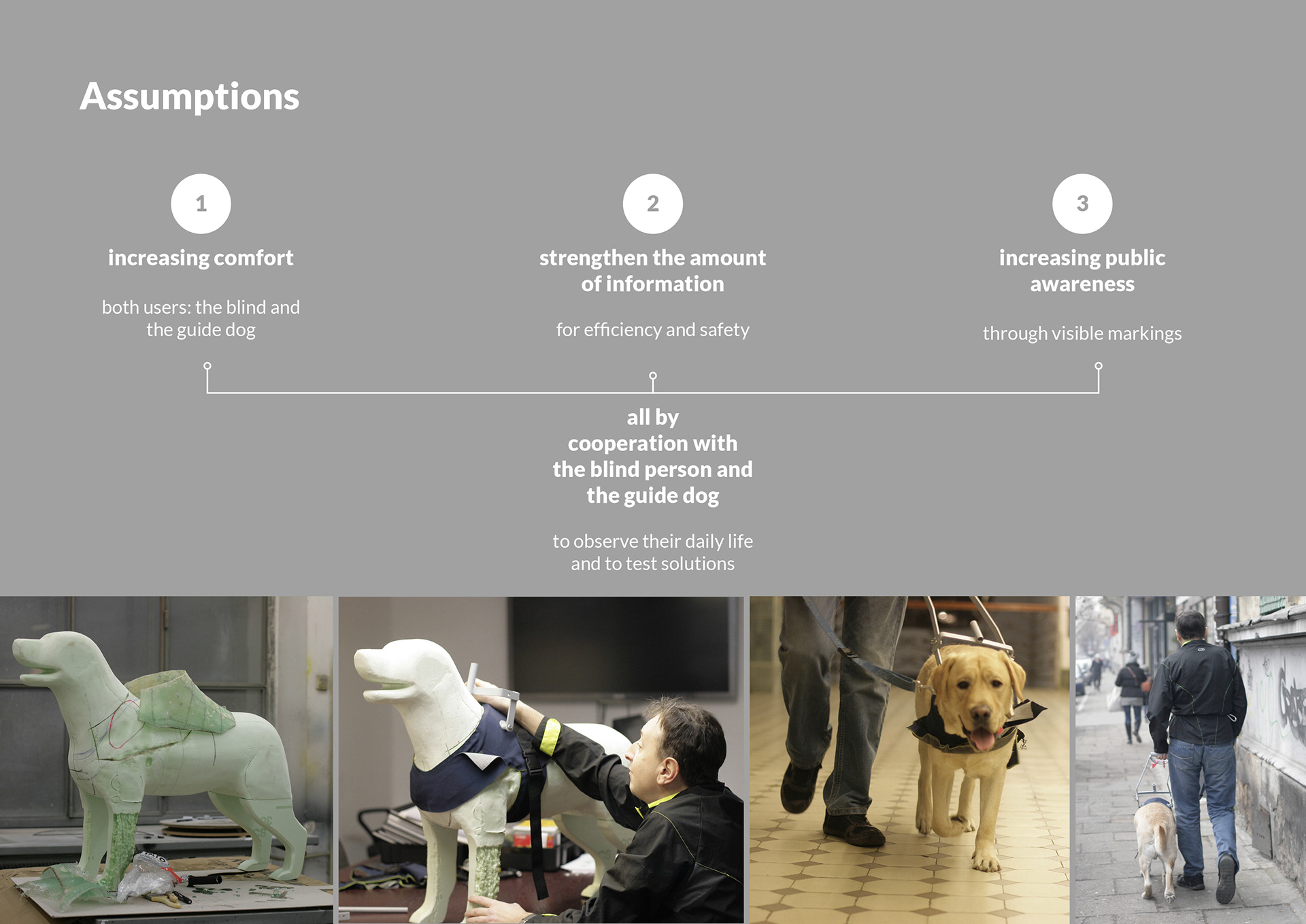 black，Dog clothing design，Guidog harness，