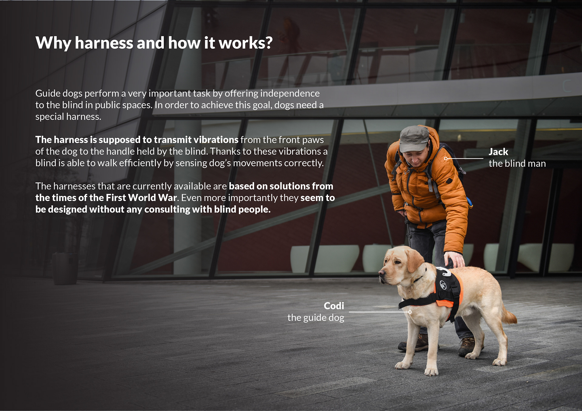 black，Dog clothing design，Guidog harness，