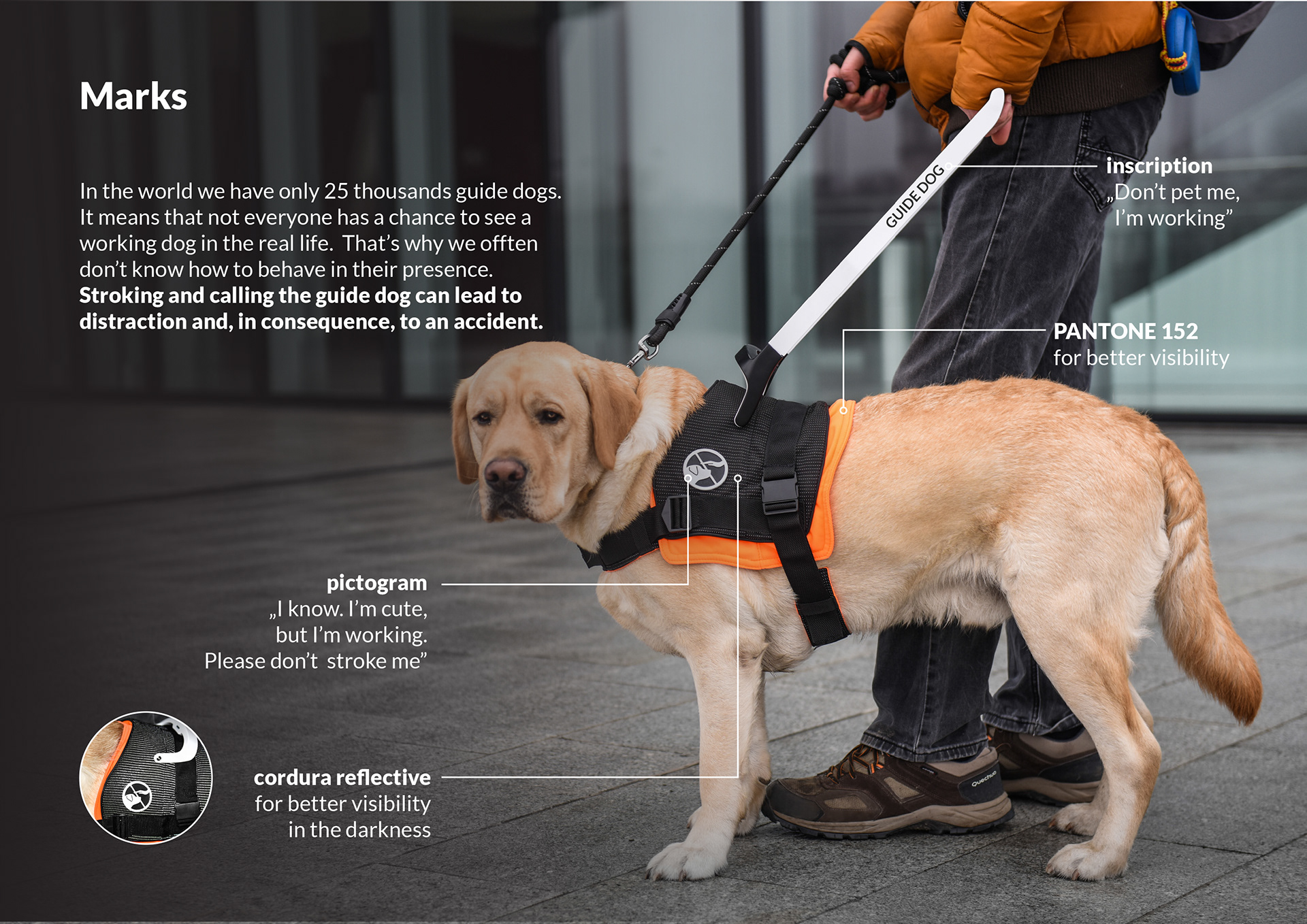 black，Dog clothing design，Guidog harness，