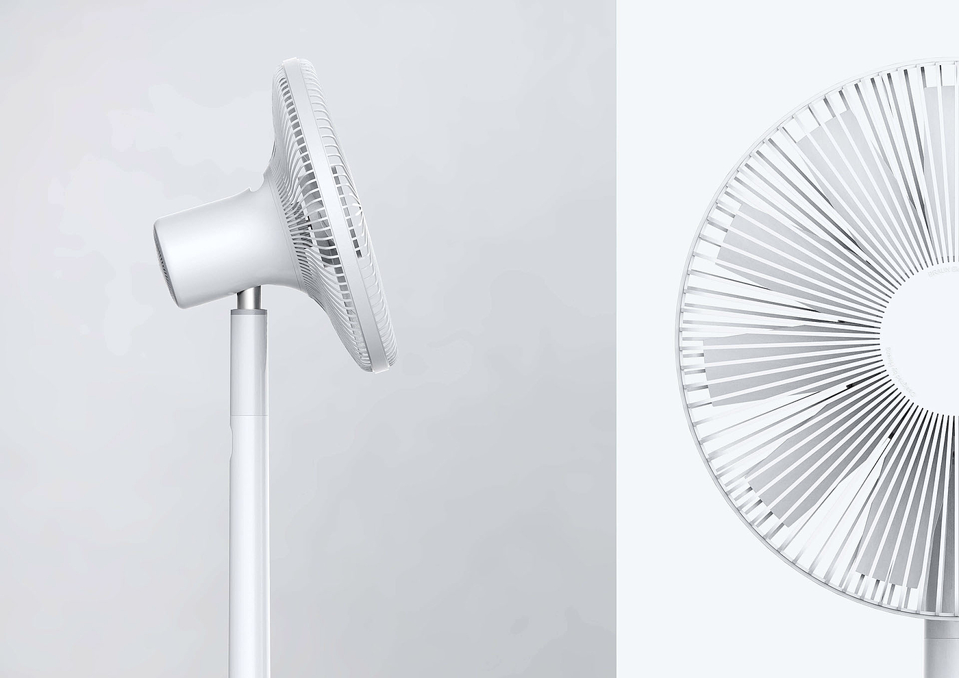 white，Fan，braun，