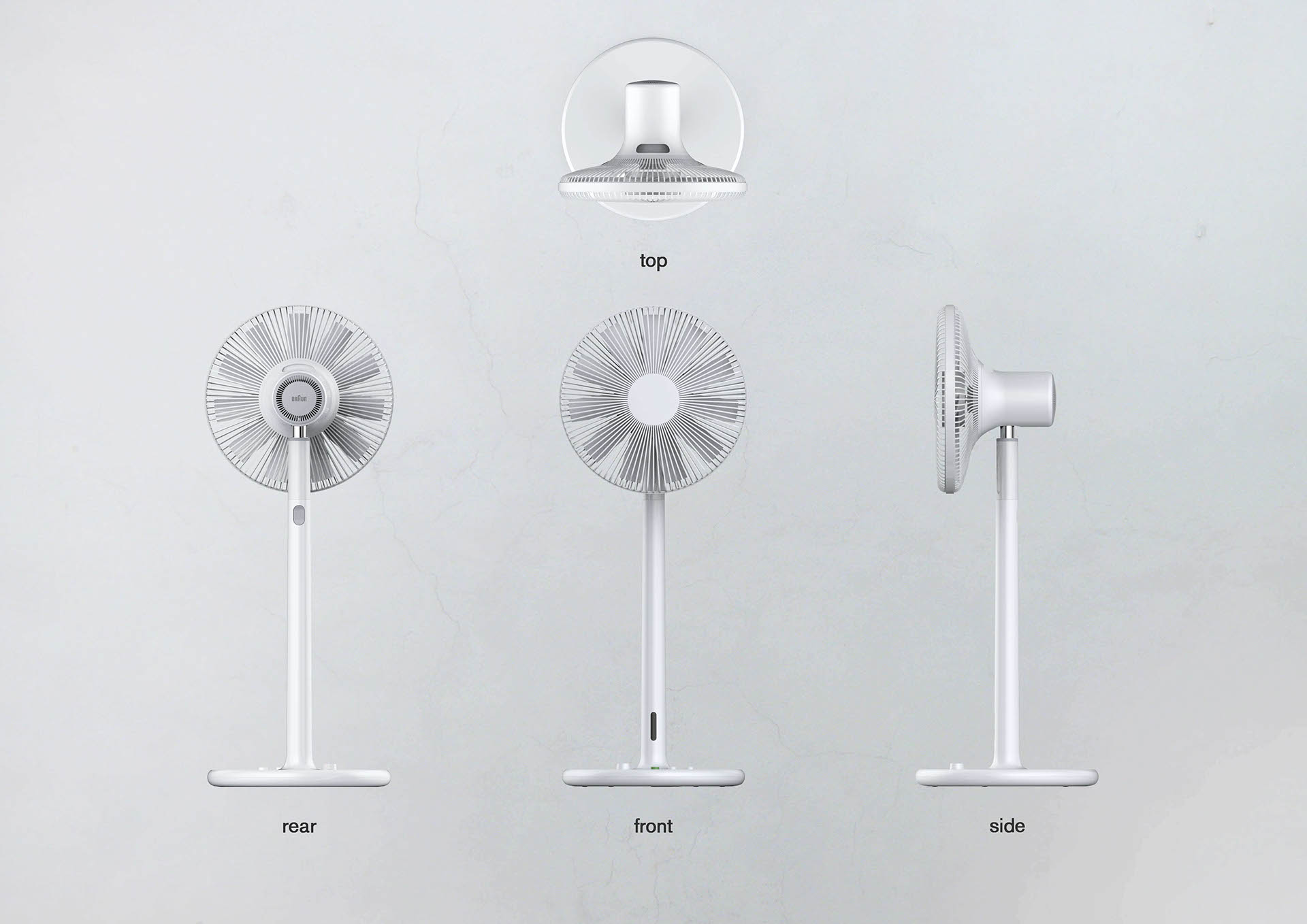 white，Fan，braun，