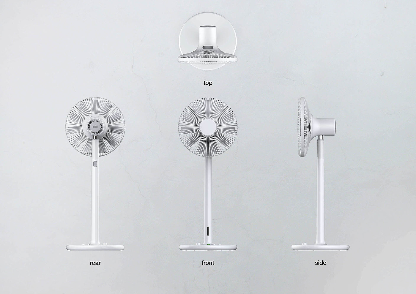 white，Fan，braun，