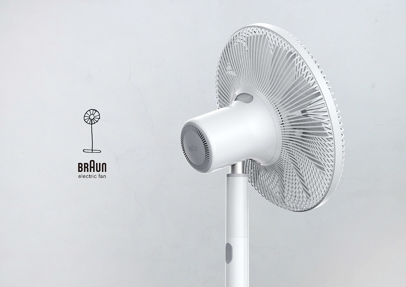 white，Fan，braun，