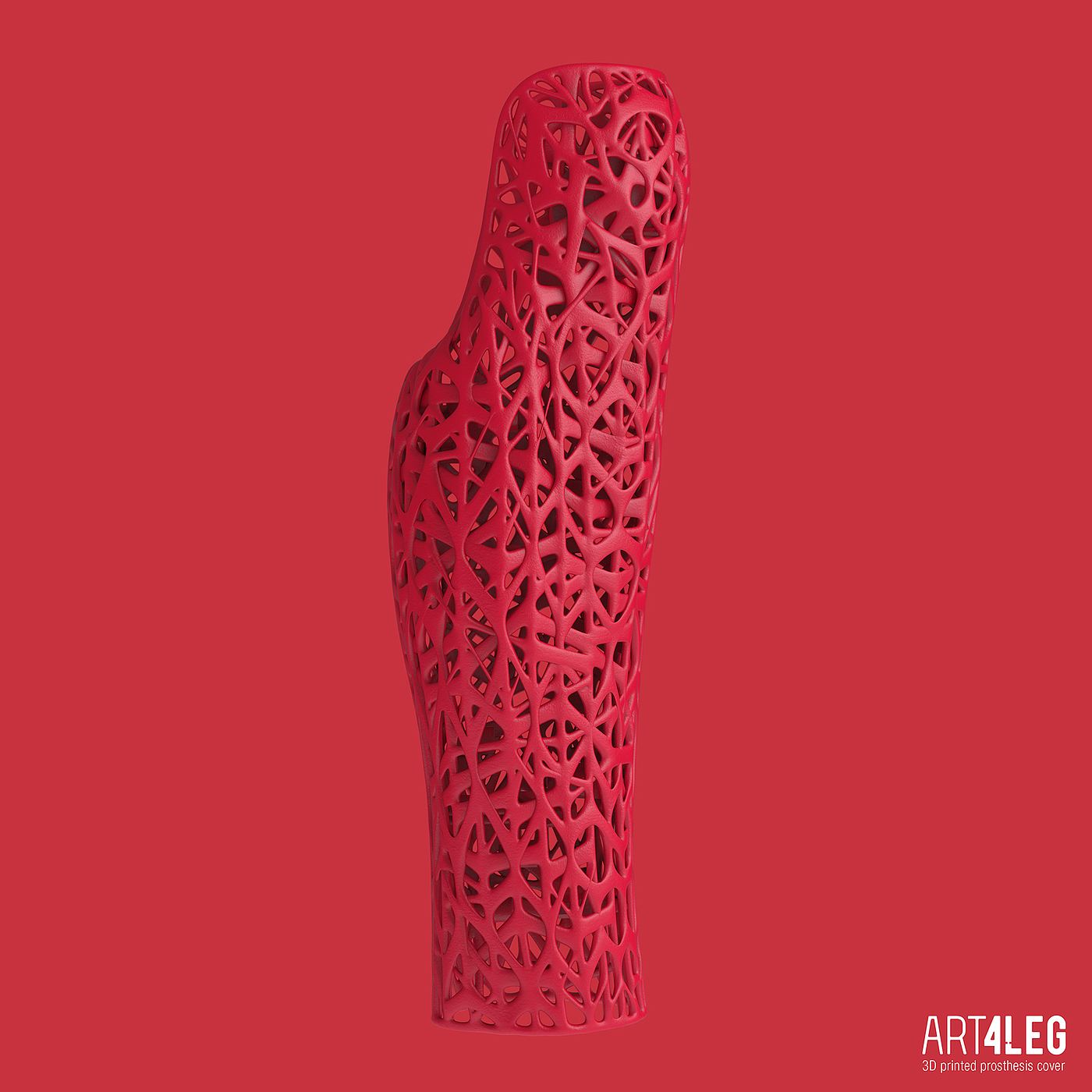 Prosthesis，Nature，3D printing，