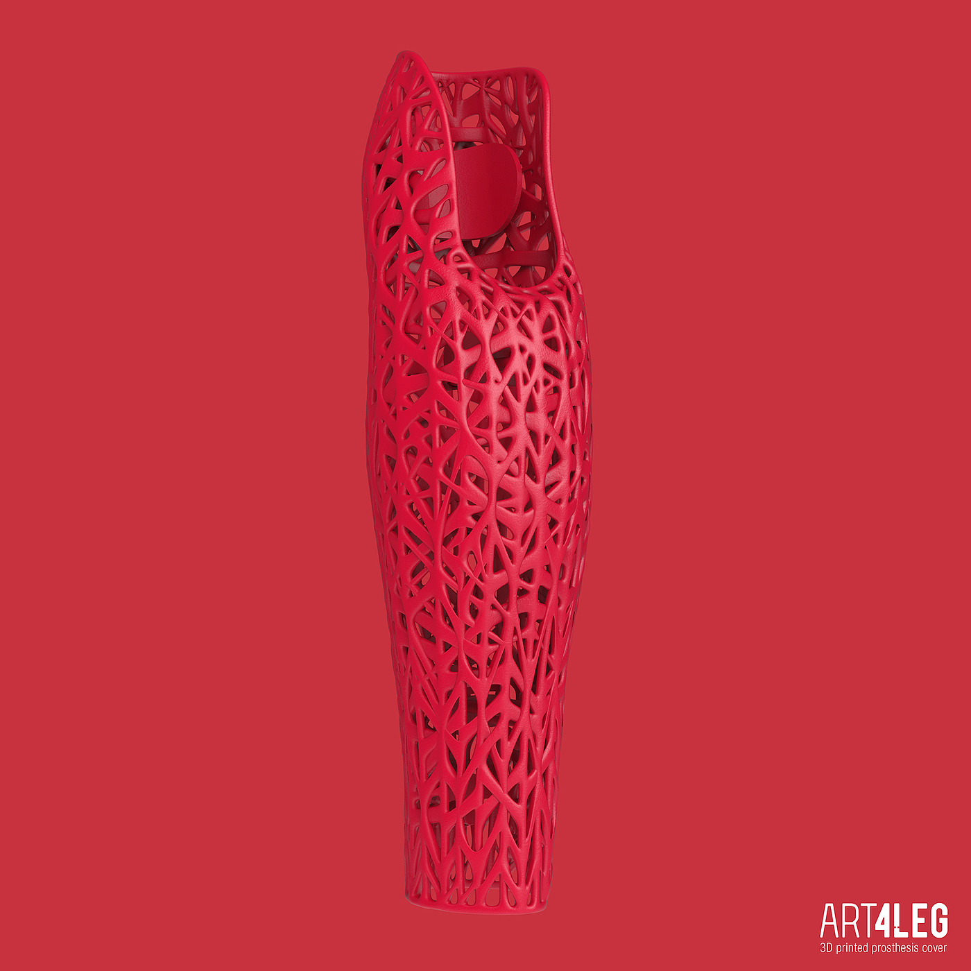 Prosthesis，Nature，3D printing，