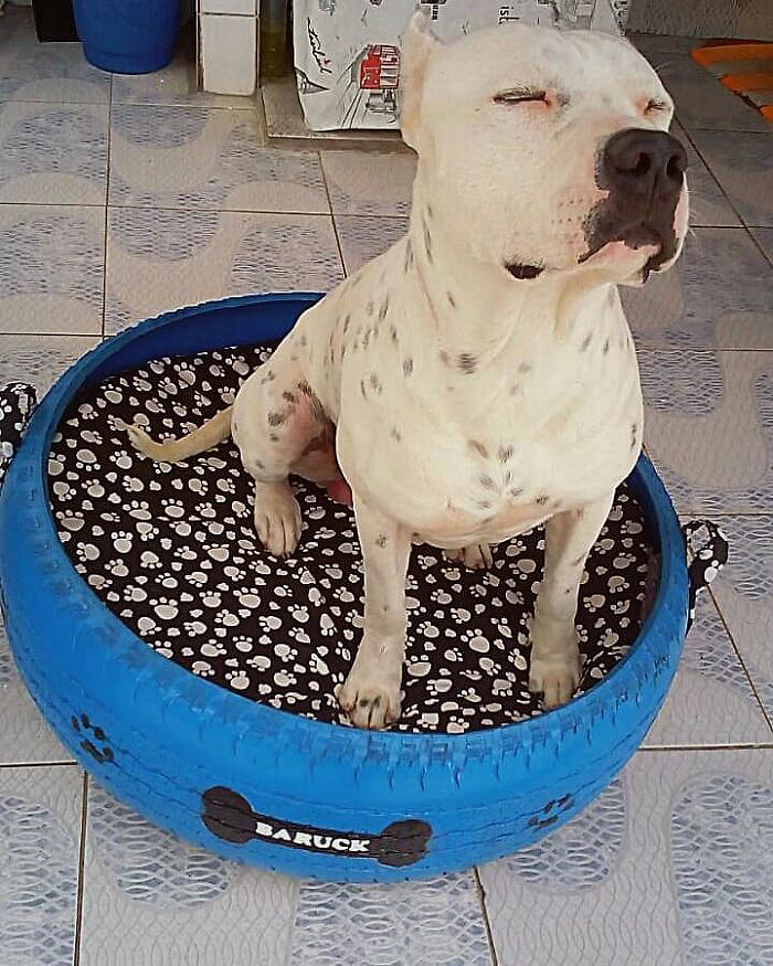 Cycle design，Cylinder design，Pet surroundings，Multicolored senior grey，Dog's nest cat's nest，tyre，Reconstruction of old objects，