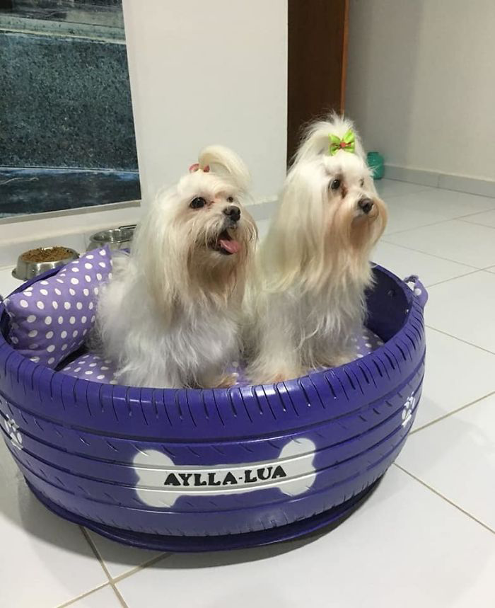 Cycle design，Cylinder design，Pet surroundings，Multicolored senior grey，Dog's nest cat's nest，tyre，Reconstruction of old objects，