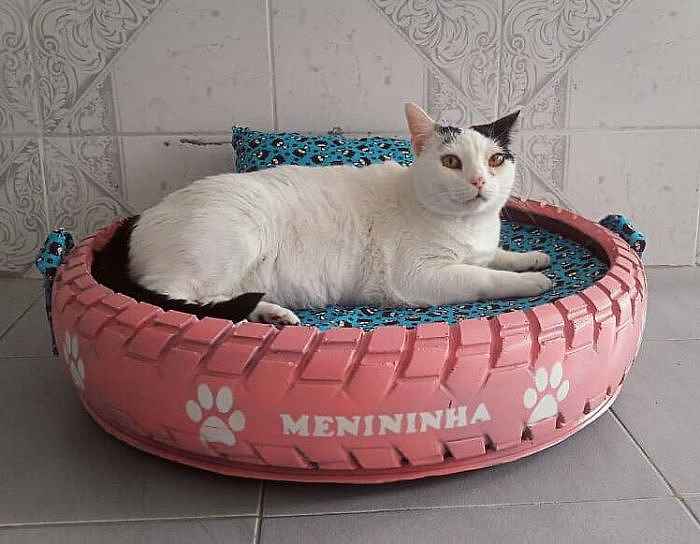 Cycle design，Cylinder design，Pet surroundings，Multicolored senior grey，Dog's nest cat's nest，tyre，Reconstruction of old objects，
