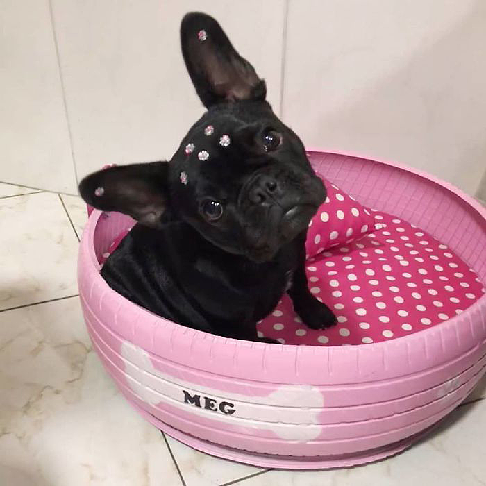 Cycle design，Cylinder design，Pet surroundings，Multicolored senior grey，Dog's nest cat's nest，tyre，Reconstruction of old objects，