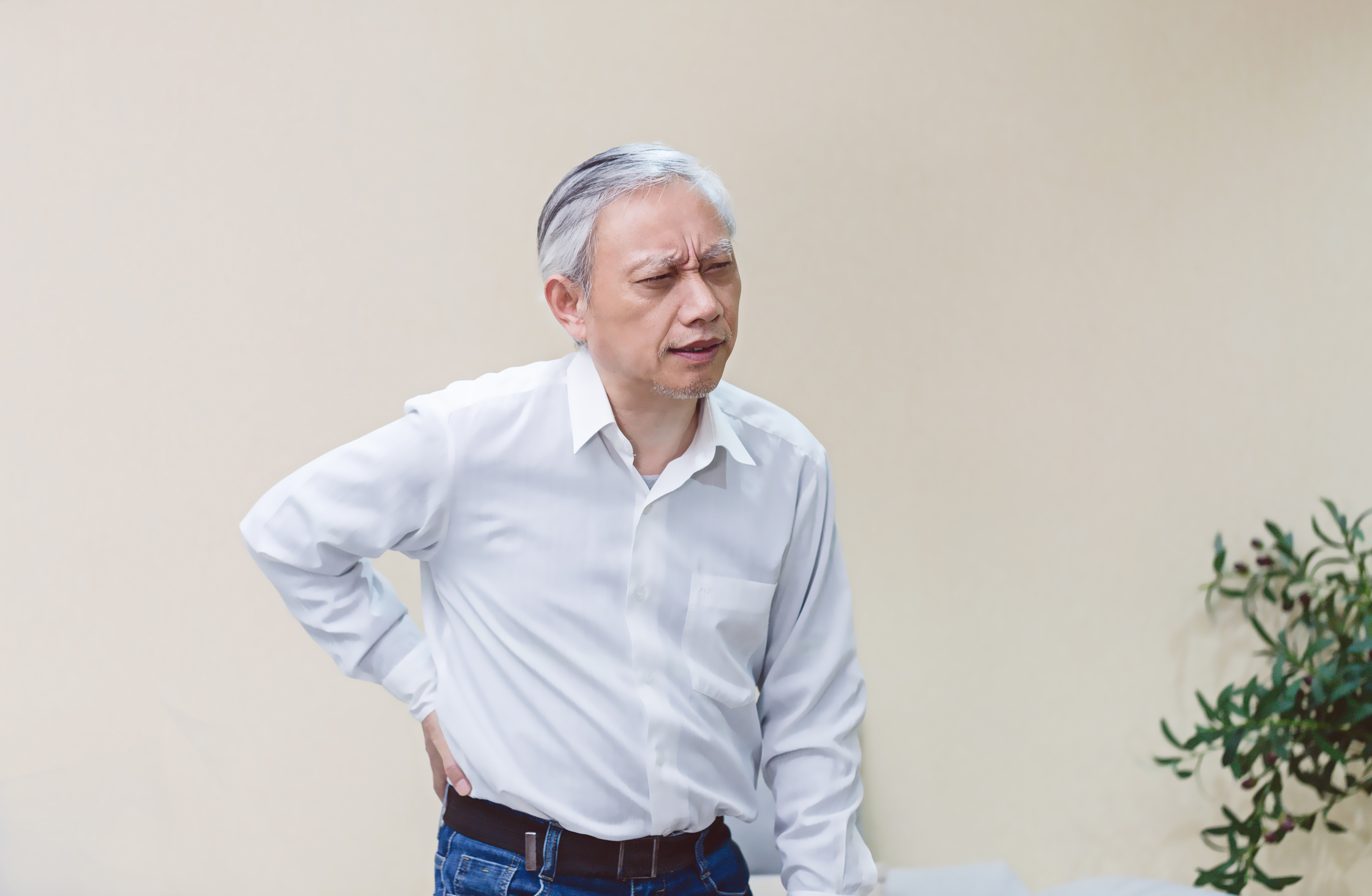 White collar workers，fashion，concise，Bai Fumei，Massage paste，Intelligent massage instrument，