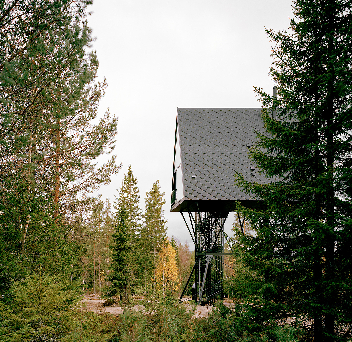 Espen Surnevik，PAN Treetop Cabins，树屋，