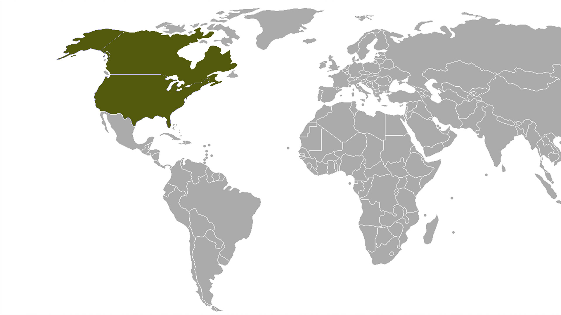 Garden tools，North America，American alligator，Hedge machine，