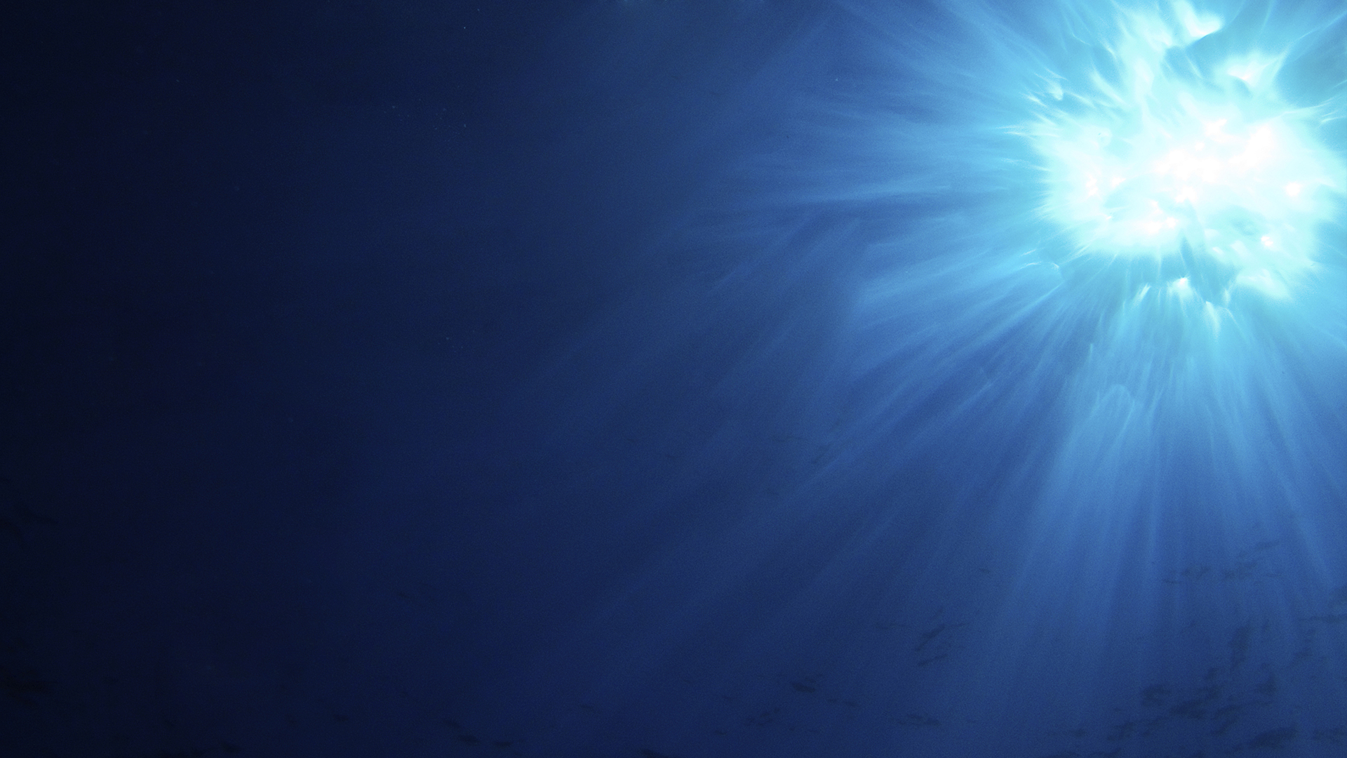 In ear，hifi，headset，snail，