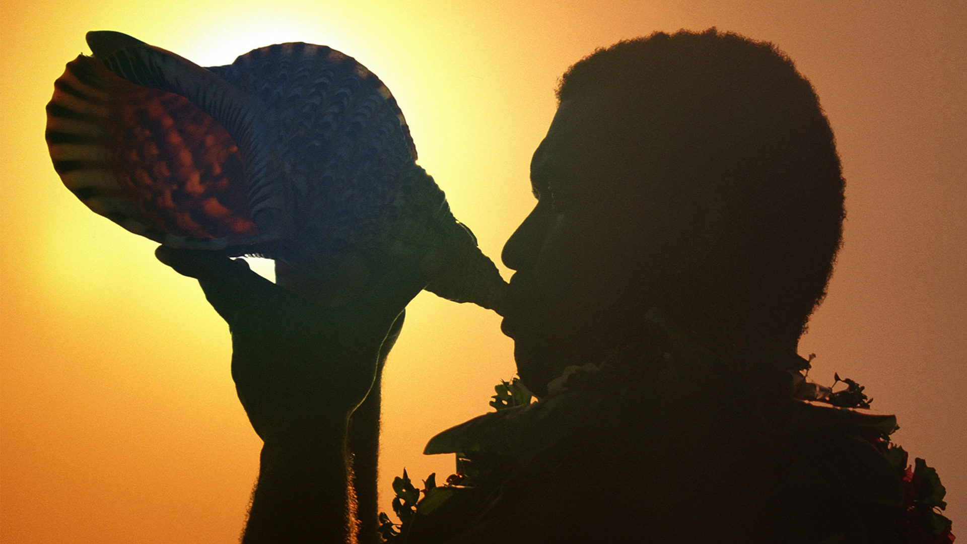 In ear，hifi，headset，snail，